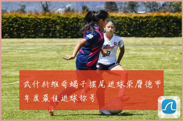 武什科维奇蝎子摆尾进球荣膺德甲年度最佳进球称号