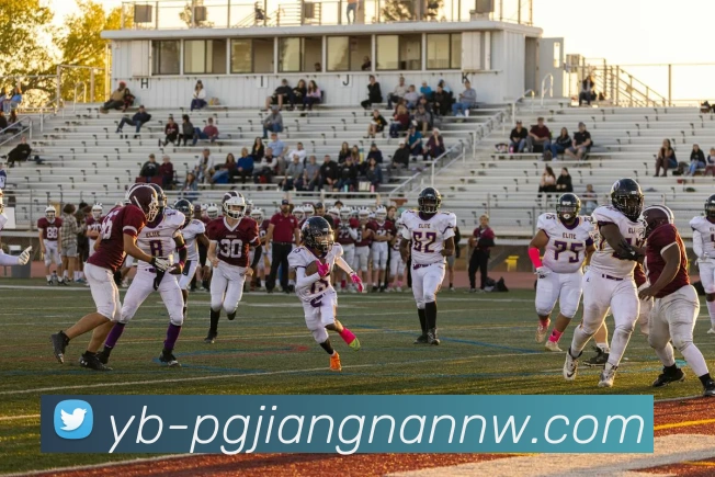 App Interface Preview